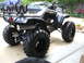 1999 Honda FOURTRAX 300